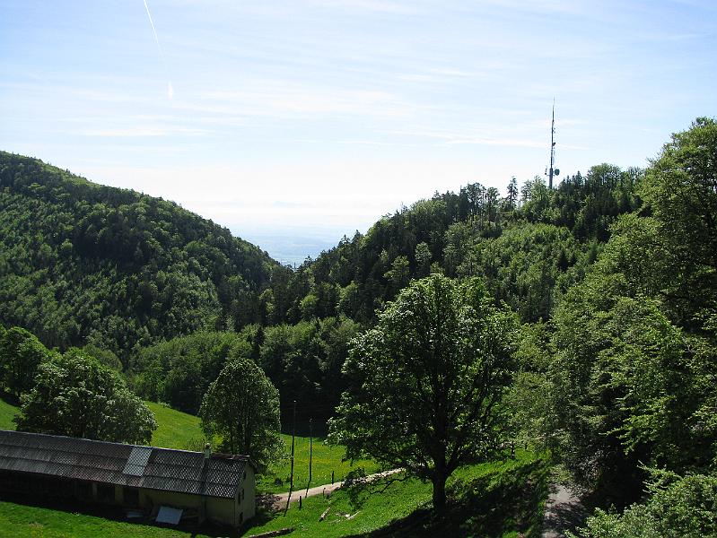 2009-05_Weissenstein 042.jpg